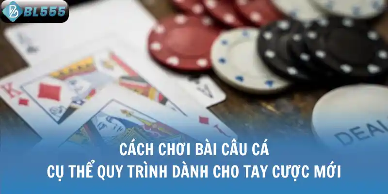 Cách Chơi Bài Câu Cá Cụ Thể Quy Trình Dành Cho Tay Cược Mới