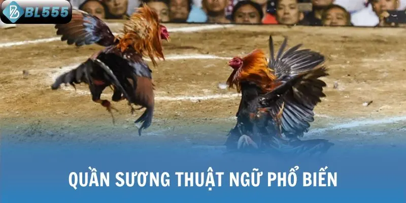 Quần sương thuật ngữ phổ biến