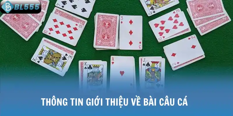 Thông tin giới thiệu về bài câu cá