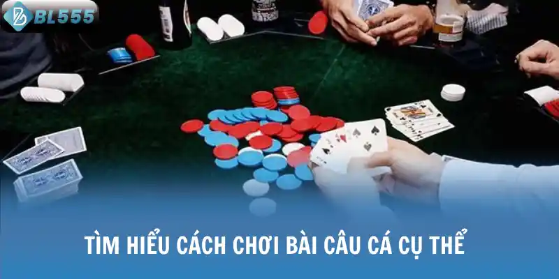 Tìm hiểu cách chơi bài câu cá cụ thể