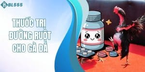 Thuốc trị đường ruột cho gà đá